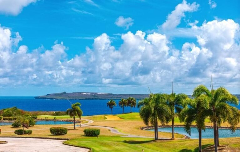 라오라오베이CC 후기