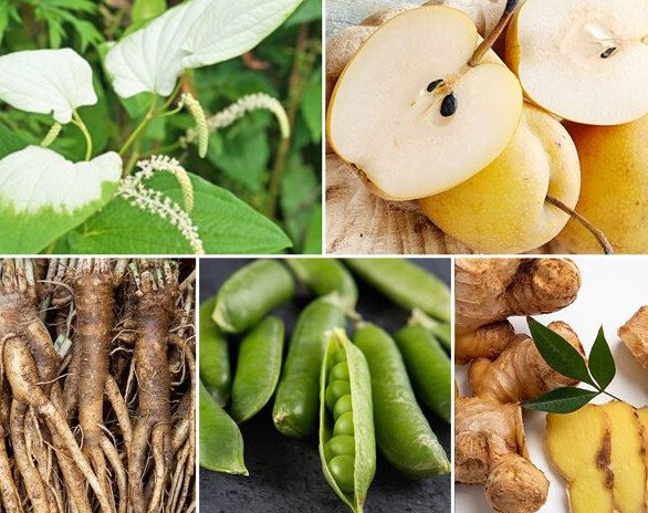 알레르기 비염에 좋은 음식
